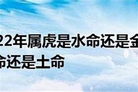 水虎命|2022水虎命好不好，一生运势表现如何